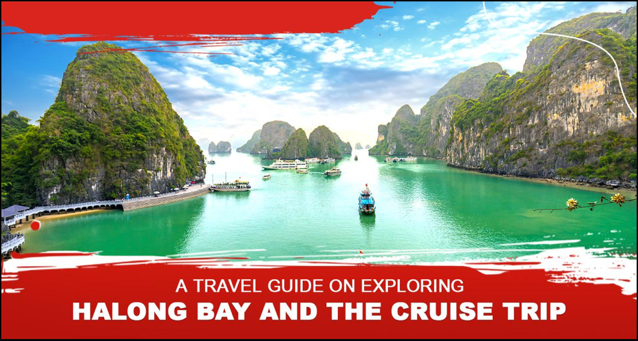 A Travel Guide on Exploring Halong Bay and the Cruise Trip