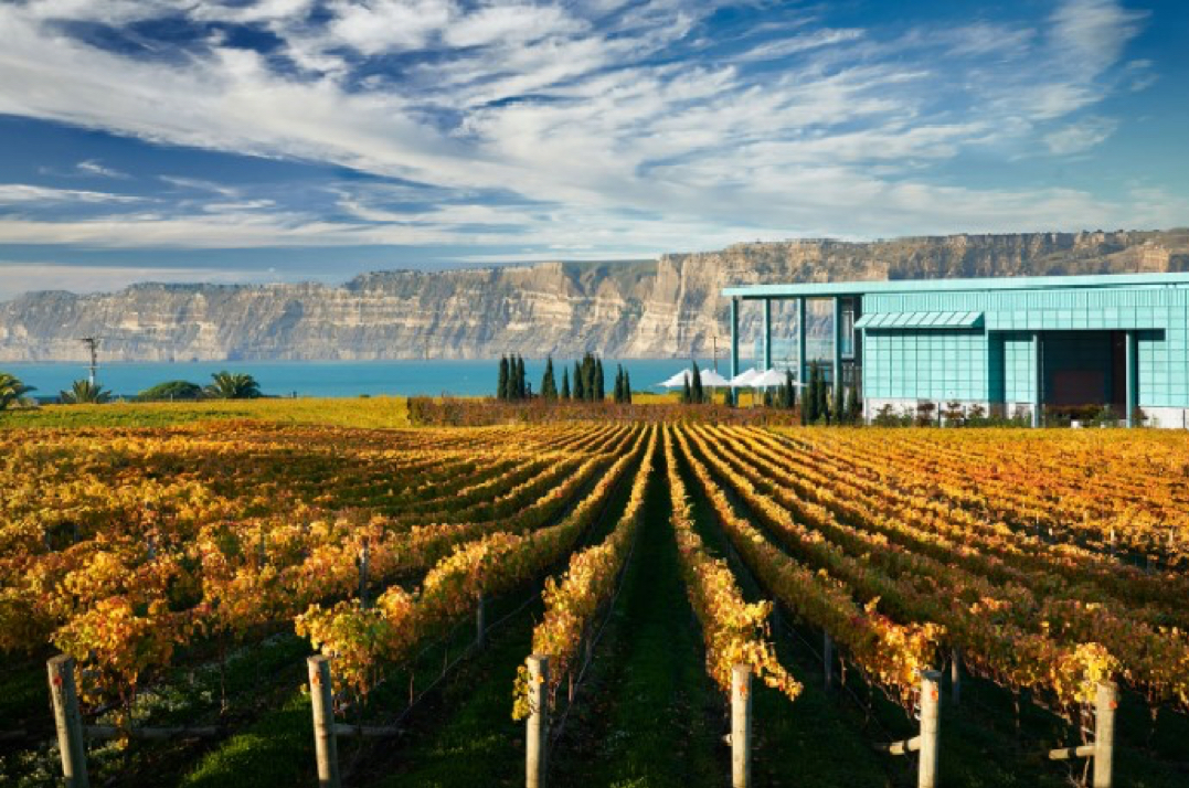 Hawkes Bay
