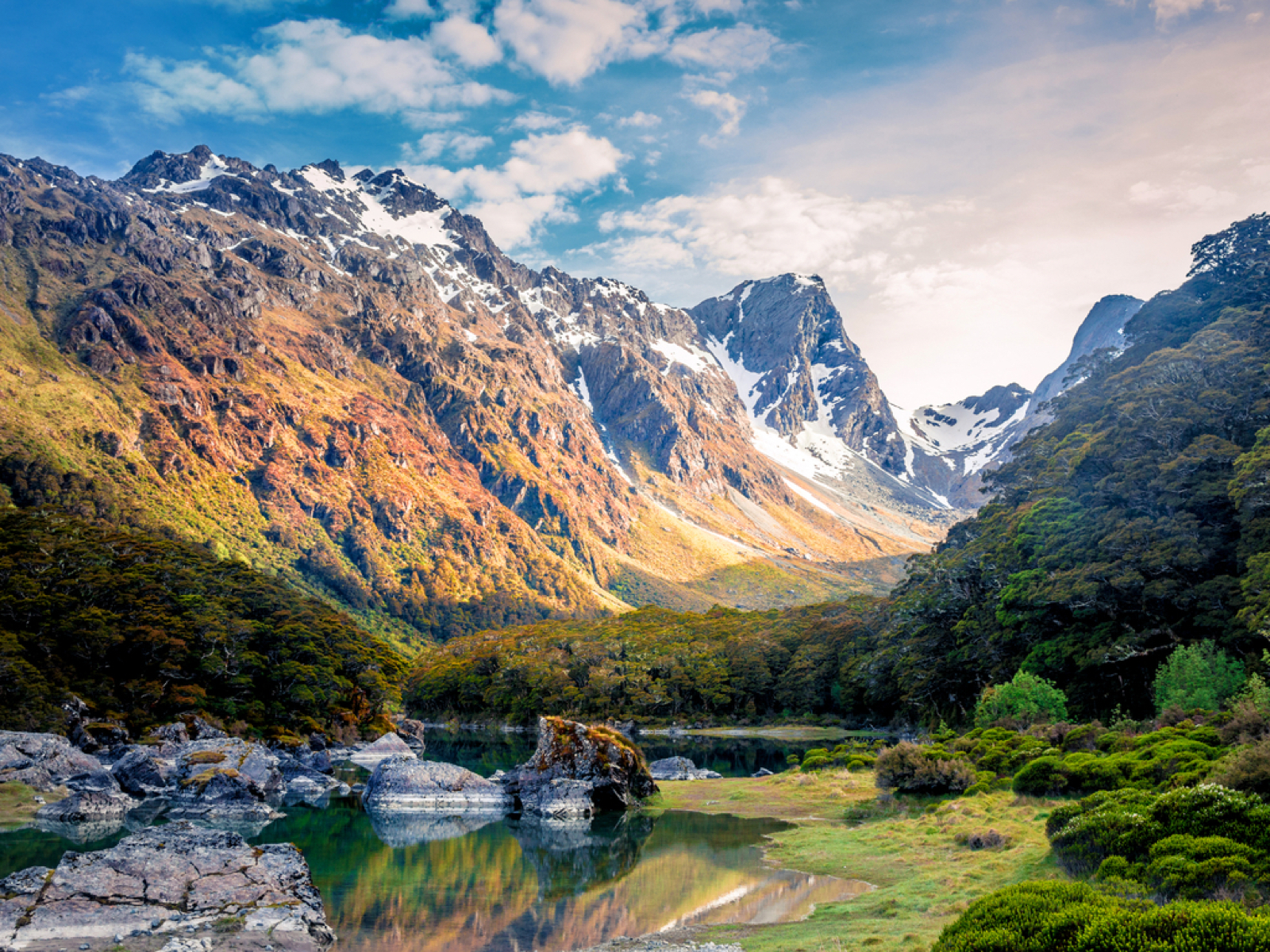 Take a close-up view of the wintery scenes at Fiordland